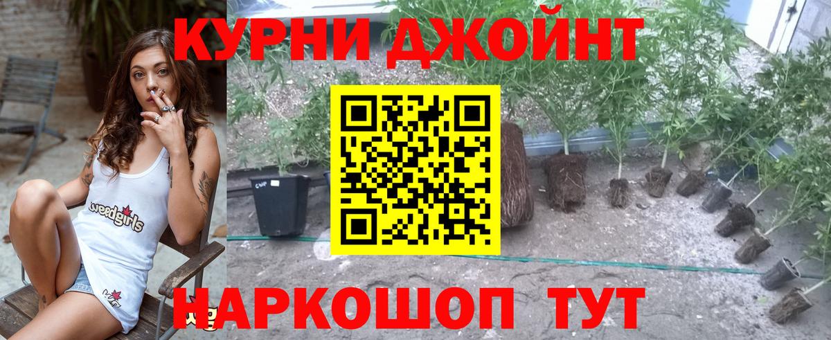 Канабис SATIVA & INDICA Ульяновск